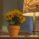 Oberlausitz & Am Hamann Berg Lejlighed