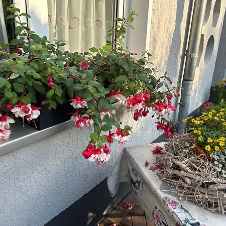 Oberlausitz & Am Hamann Berg *