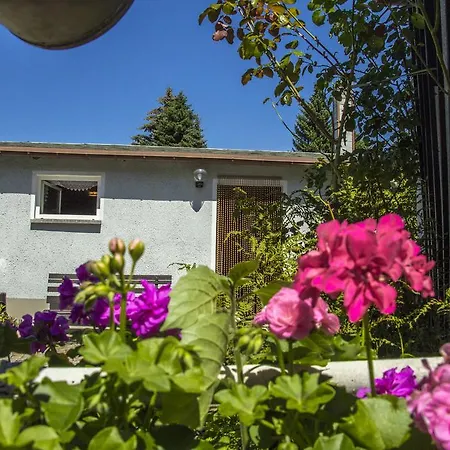 Oberlausitz & Am Hamann Berg Zittau