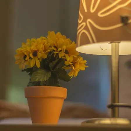 Oberlausitz & Am Hamann Berg Apartman